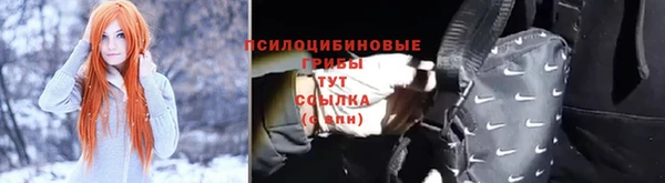 прущие грибы Абдулино