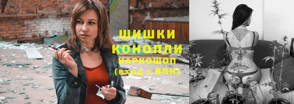 прущие грибы Абдулино